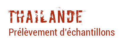 palevoprim-legende-thailande-header-1