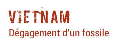 palevoprim-legende-vietnam-header-2