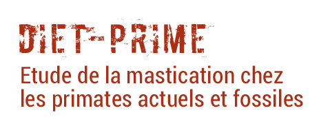 diet-prime-projet-header-legende