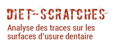 diet-scratches-projet-header-legende