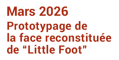prototype-little-foot-header-03-2026-legende