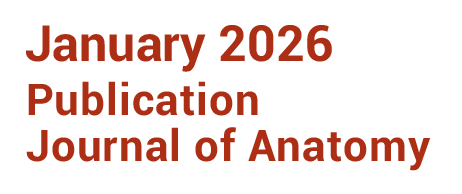 publi-journal-of-anatomy-01-2026-legende-eng