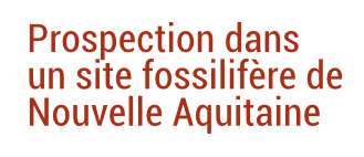 aquapal-palevoprim-legende-fr