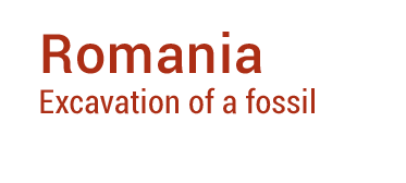 missions-titres-en-08-2026-romania-1