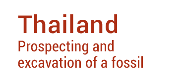missions-titres-en-08-2026-thailand-1